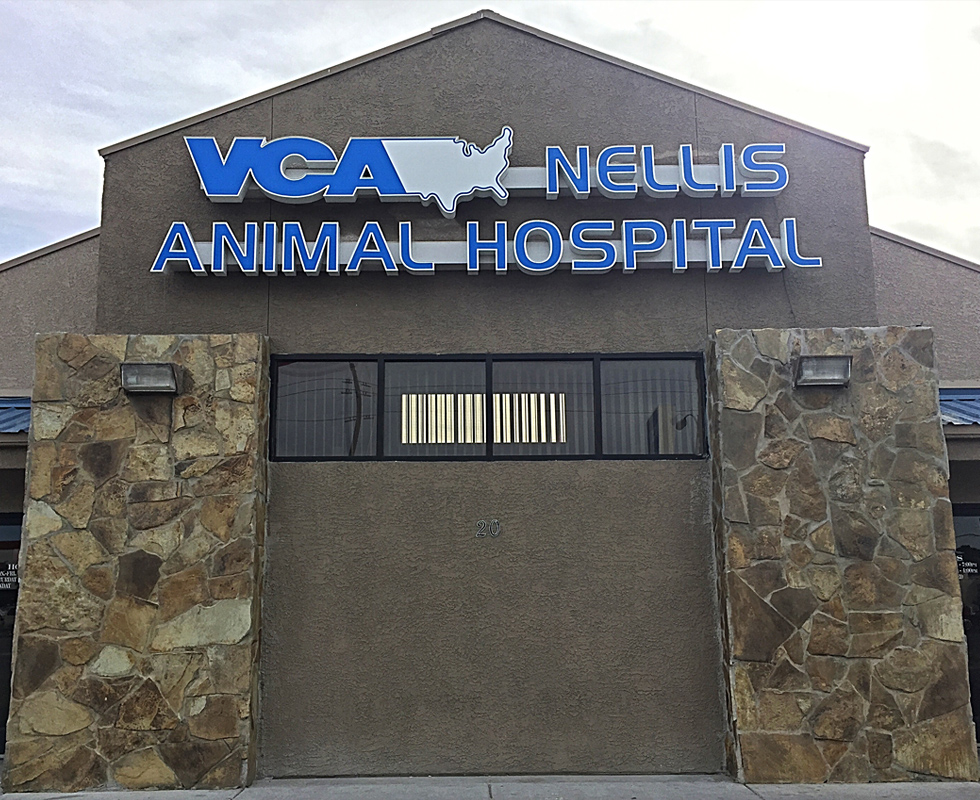 Hospital Picture of VCA Nellis Animal Hospital