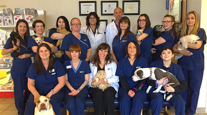 Working At VCA Animal Hospitals: Employee Reviews And Culture - Zippia