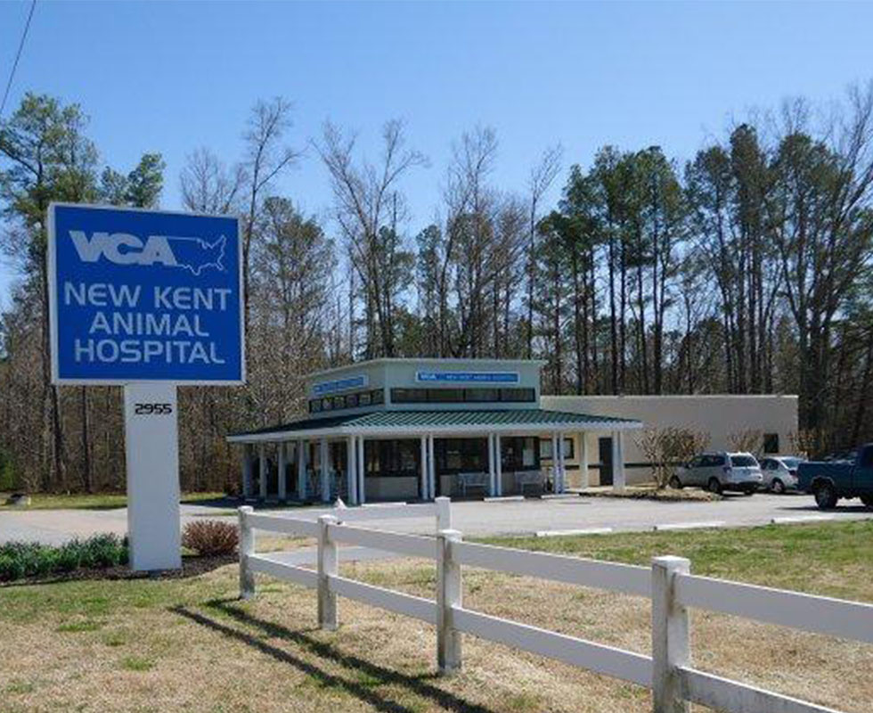 Hospital Picture of VCA New Kent Animal Hospital