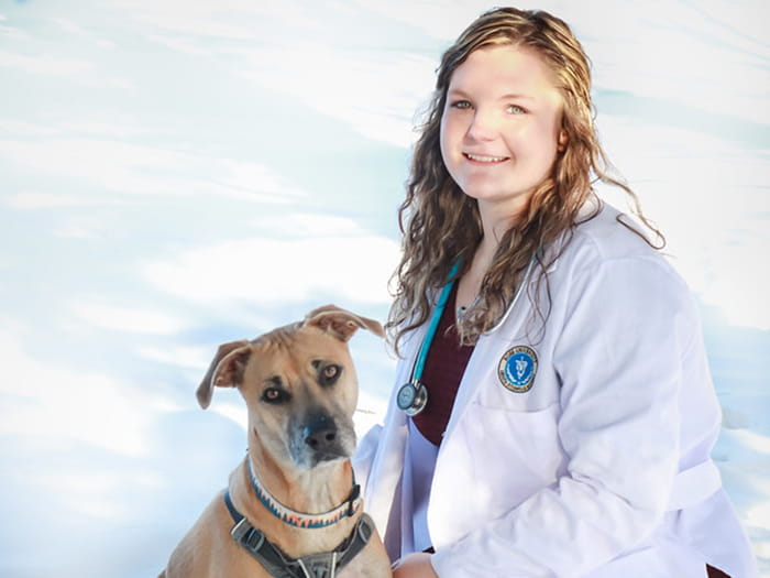 Christopher Ficke Vca New London Animal Hospital