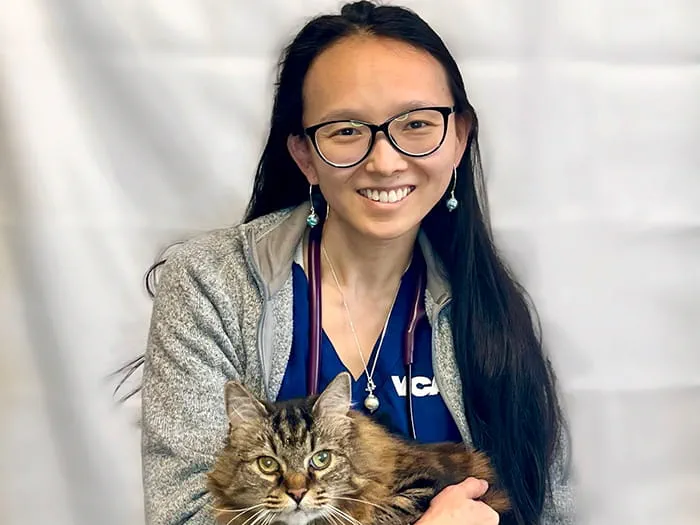 Angela Italia | VCA New London Animal Hospital