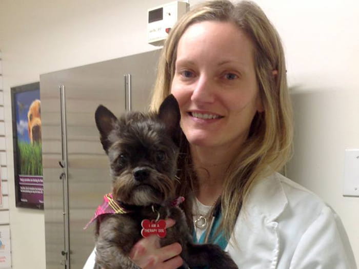 vets for pets prince edward road