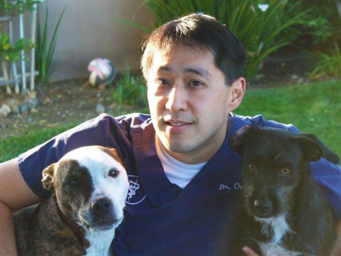 Encinitas Vets At Vca North Coast Animal Hospital