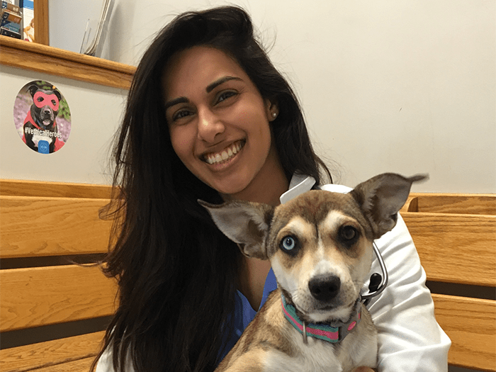 Sonia Brar Vca North Main Street Veterinary Clinic