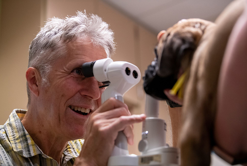 VCA Northwest Veterinary Specialists