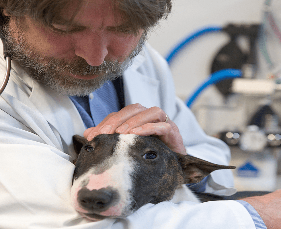 VCA Northwest Veterinary Specialists Staff Page