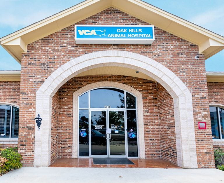 Our Hospital VCA Oak Hills Animal Hospital