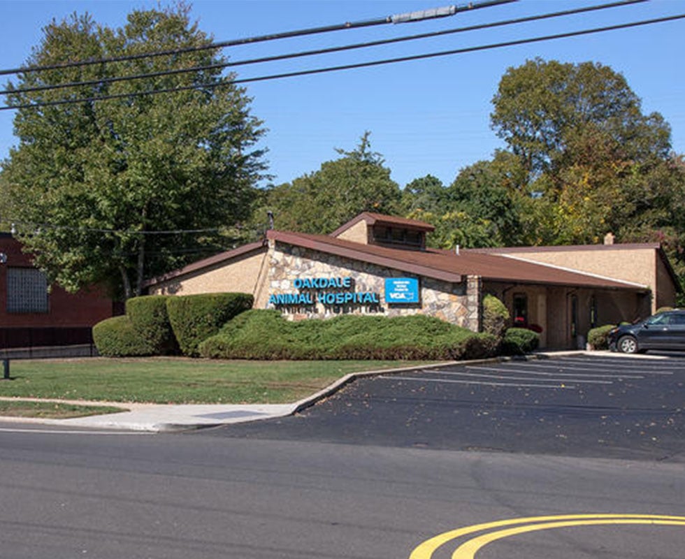 Our Hospital Oakdale Animal Hospital