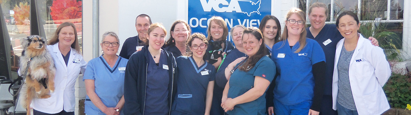 Team Picture of VCA Ocean View Animal Hospital