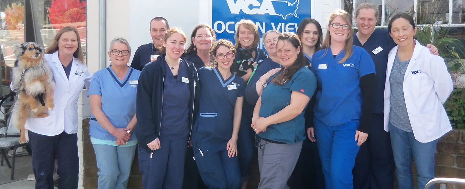 vca ocean view animal hospital