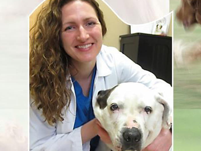 Michael Altmeier Vca Old Marple Animal Hospital