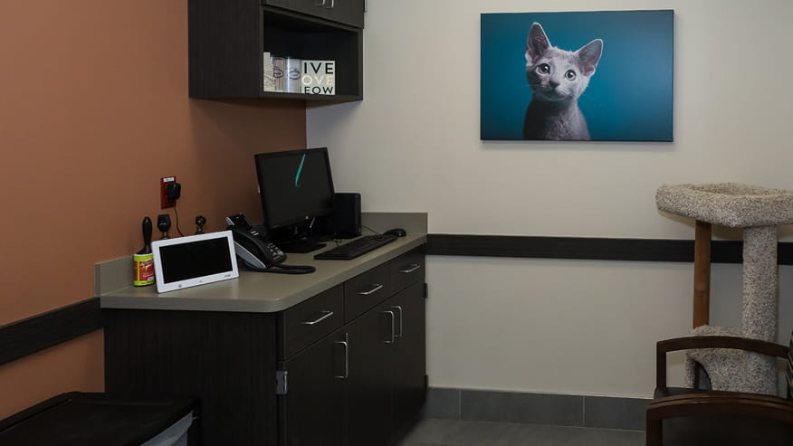 VCA Old Marple Animal Hospital Exam Room