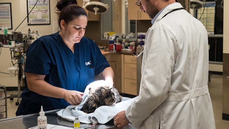 VCA Old Marple Animal Hospital Patient Care