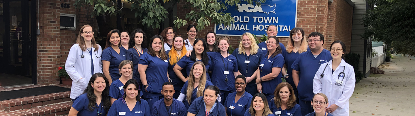 Team Picture of VCA Old Town Animal Hospital