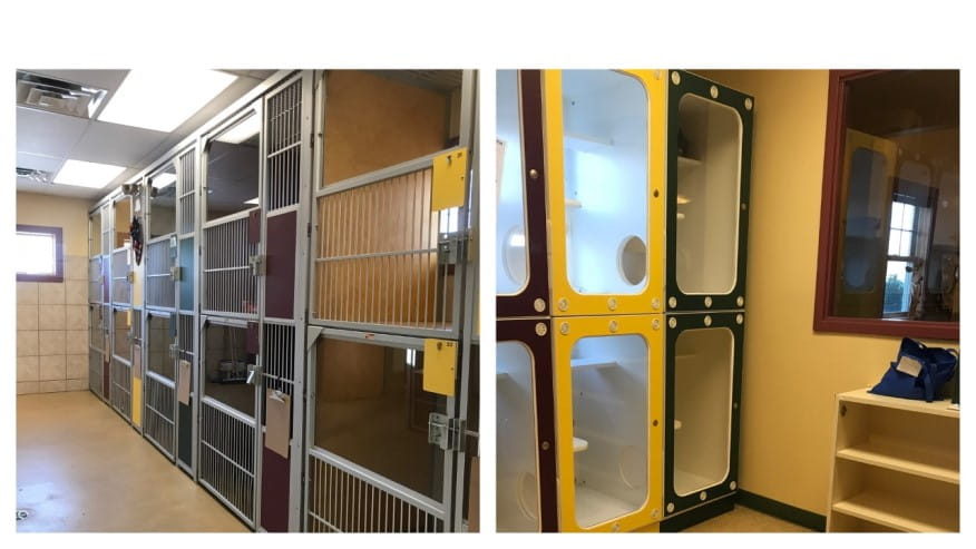 876x493 orange county CatBoarding