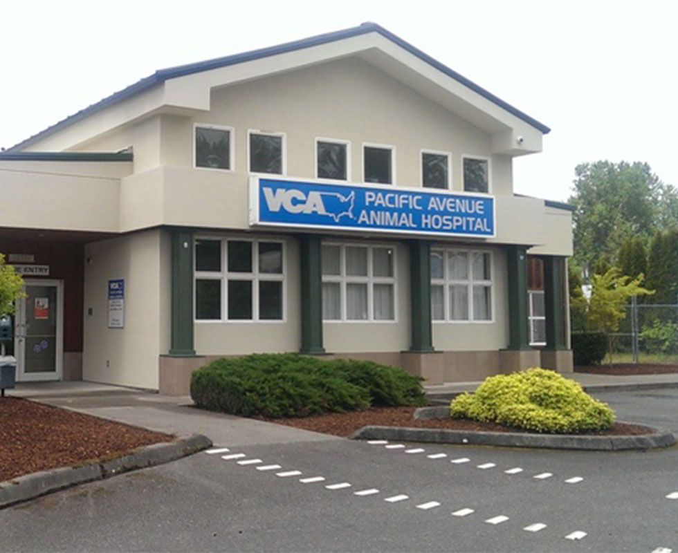 Hospital Picture of VCA Pacific Avenue Animal Hospital