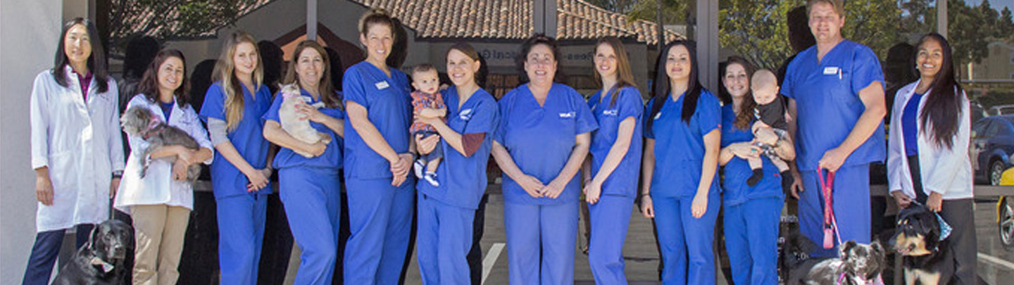 Team Picture of VCA Pacific Petcare Animal Hospital
