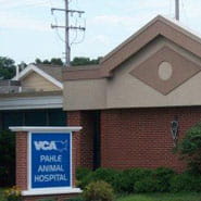 vca pahle animal hospital