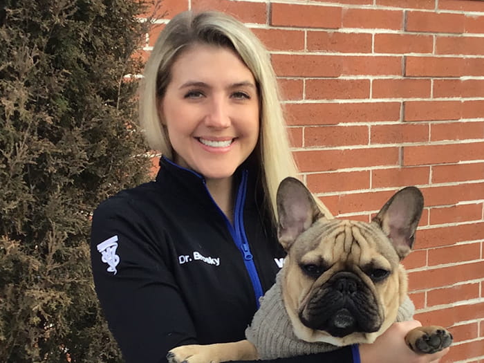 vca pahle animal hospital