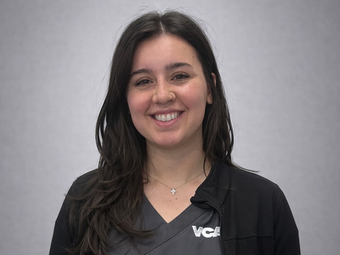 Staff Image
