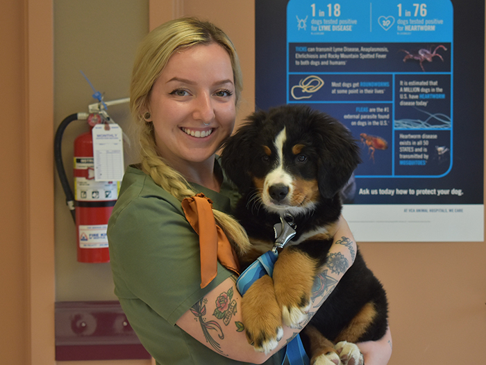 Kayla L. | VCA Panther Lake Animal Hospital