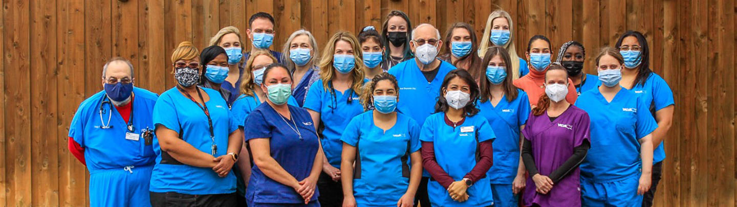 Team Picture of VCA Park Cities Animal Hospital