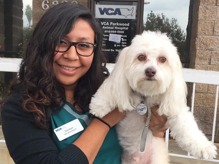 vca parkwood animal hospital