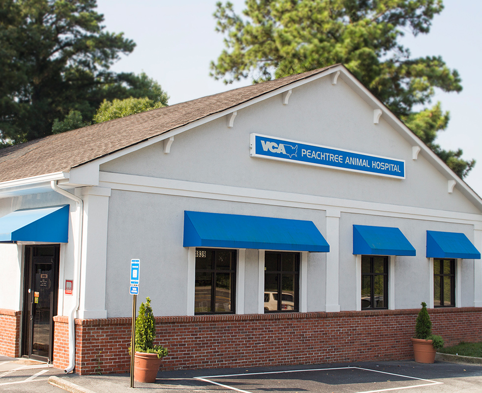 Hospital Picture of VCA Peachtree Animal Hospital