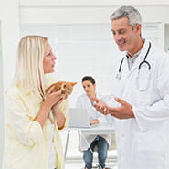 vca peone pines animal hospital