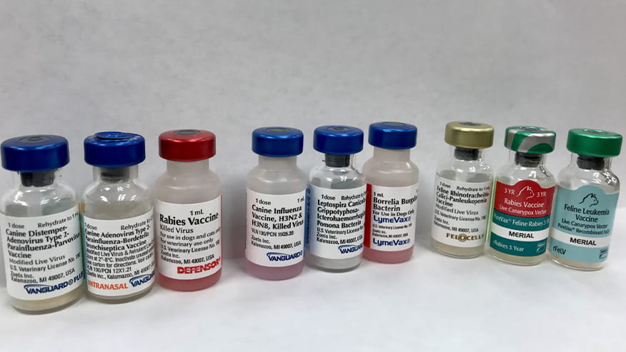 Immunizations