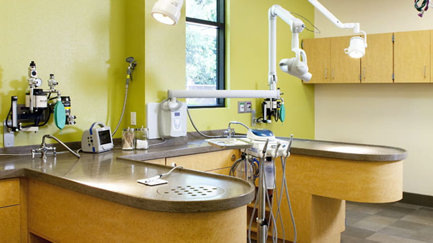 Dental Care in Santa Rosa, CA | VCA PetCare East ...