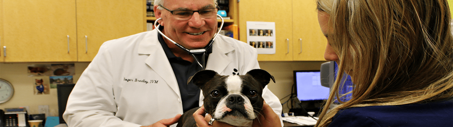 Download Pet Care Santa Rosa California Pictures