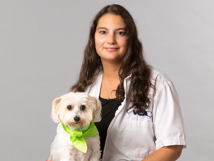Jennifer Stenger-Reid | VCA Piedmont Animal Hospital