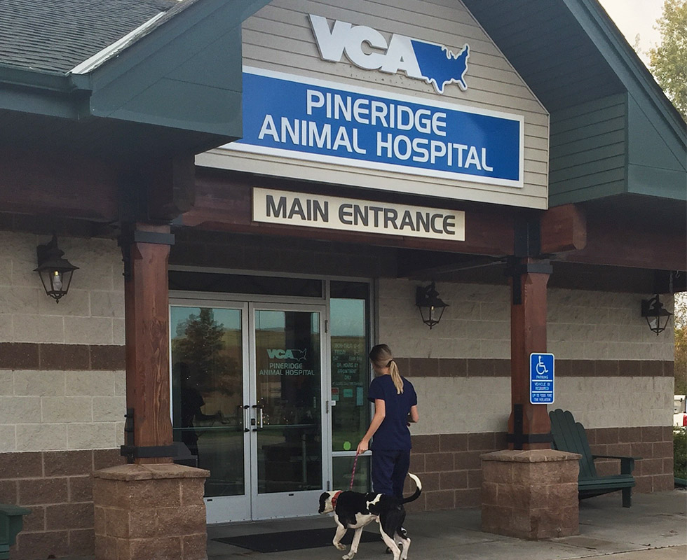 Hospital Picture of VCA Pineridge Animal Hospital