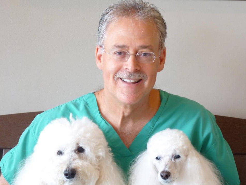 vca pines west animal hospital