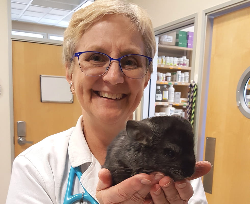 Contact Us Vca Pinnacle Animal Hospital