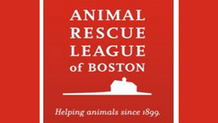 Brewster Animal Rescue League