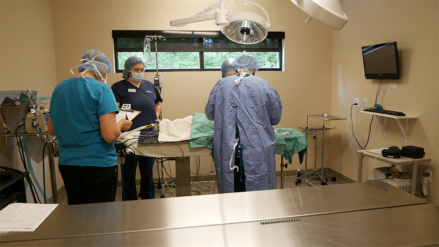 Surgical Suite