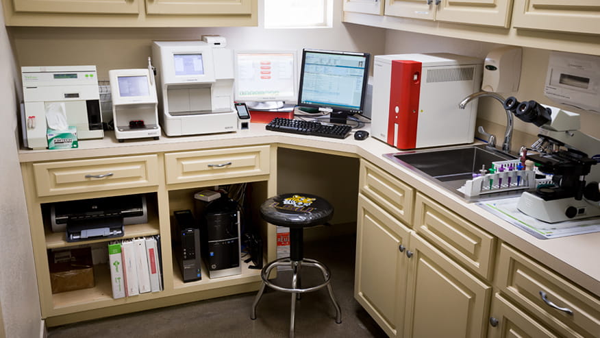 VCA Premier Animal and Pet Resort Lab