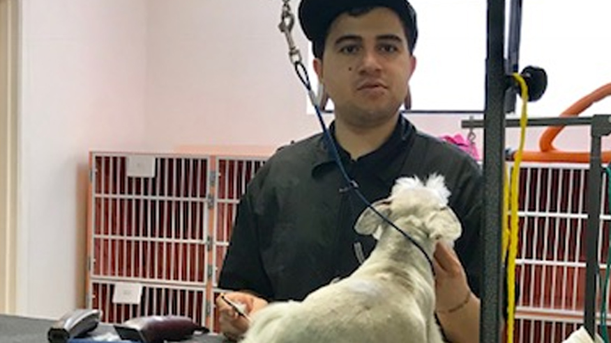VCA Rancho Mirage Animal Hospital Grooming