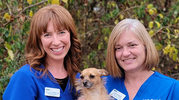 Rehabilitation therapists at VCA Regional Institute, Megan and Cassy
