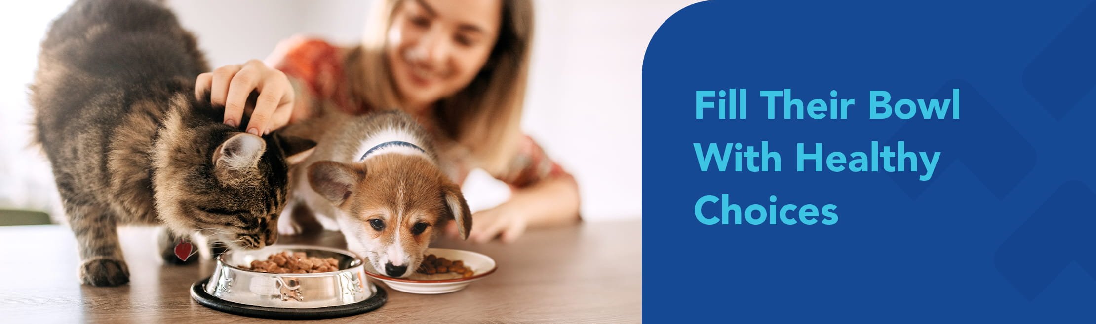 fill your pet's bowl with healthy choices