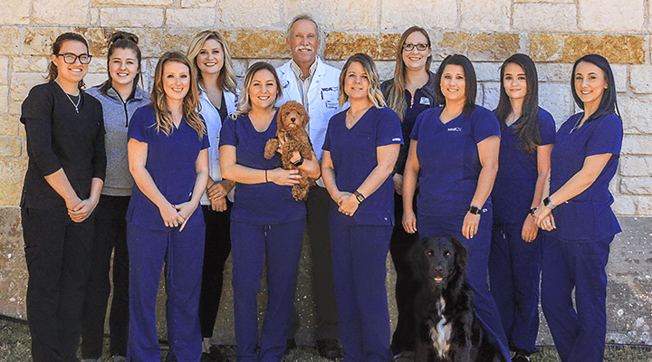 1st call pet cremation