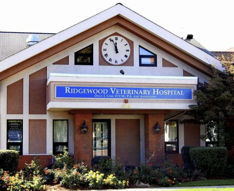 Our Hospital VCA Ridgewood Veterinary Hospital