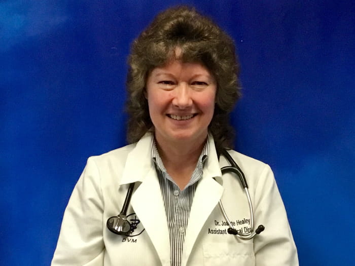 ridgewood animal hospital ridgewood nj