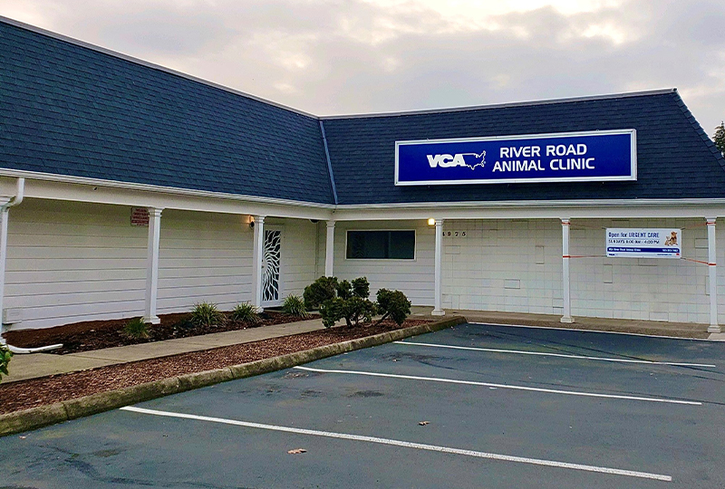 VCA River Road Animal Hospital