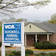vac animal hospital