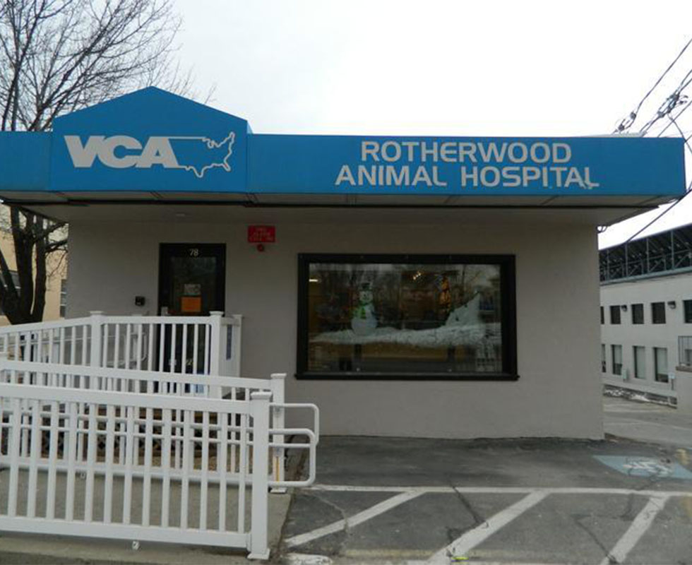 Hospital Picture of VCA Rotherwood Animal Hospital