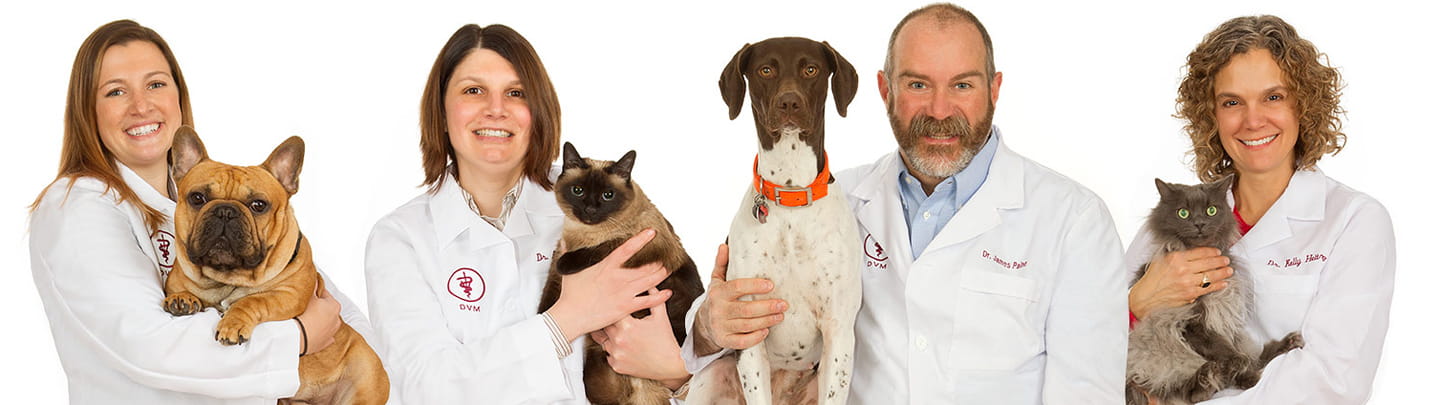 Vca Russell Animal Hospital Staff Page