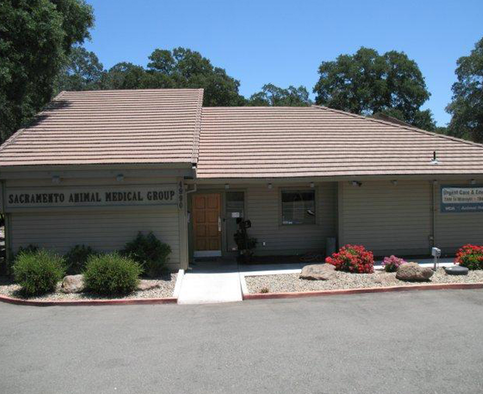 Hospital Picture of  VCA Sacramento Animal Medical Group